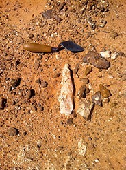 Figure 4. An <i>in situ</i> handaxe embedded in the palaeosol; a calcitic crust covers the tool.